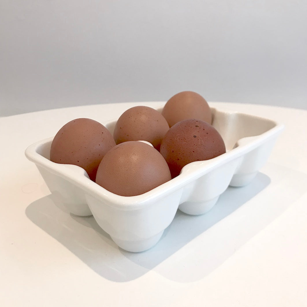 Egg holder - utilitybrighton