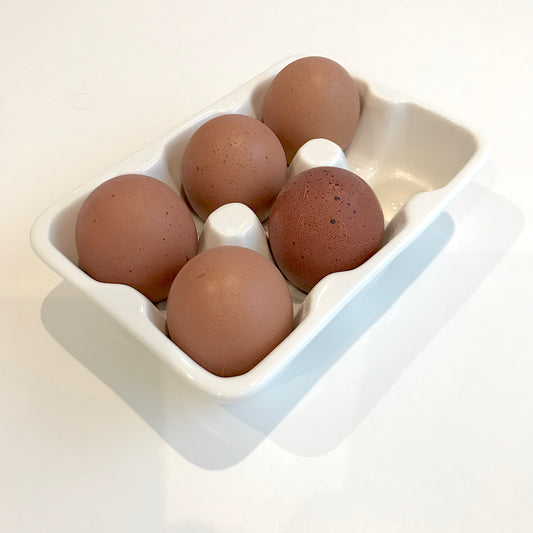 Egg holder - utilitybrighton