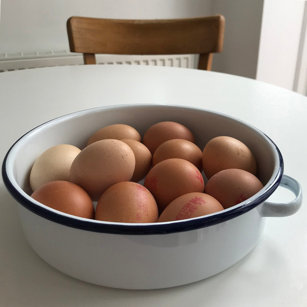 Enamel serving dish with handles - utilitybrighton