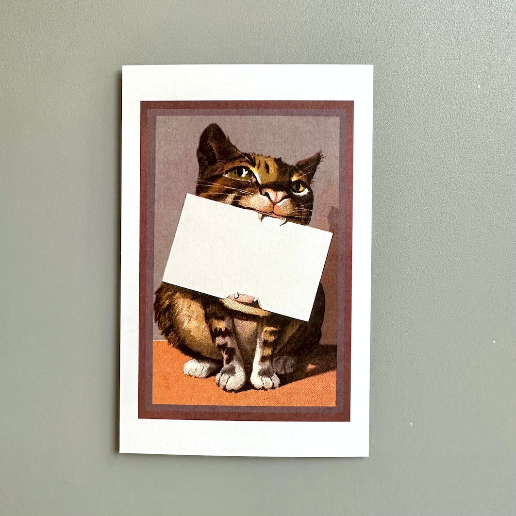 What's Up Pussycat?