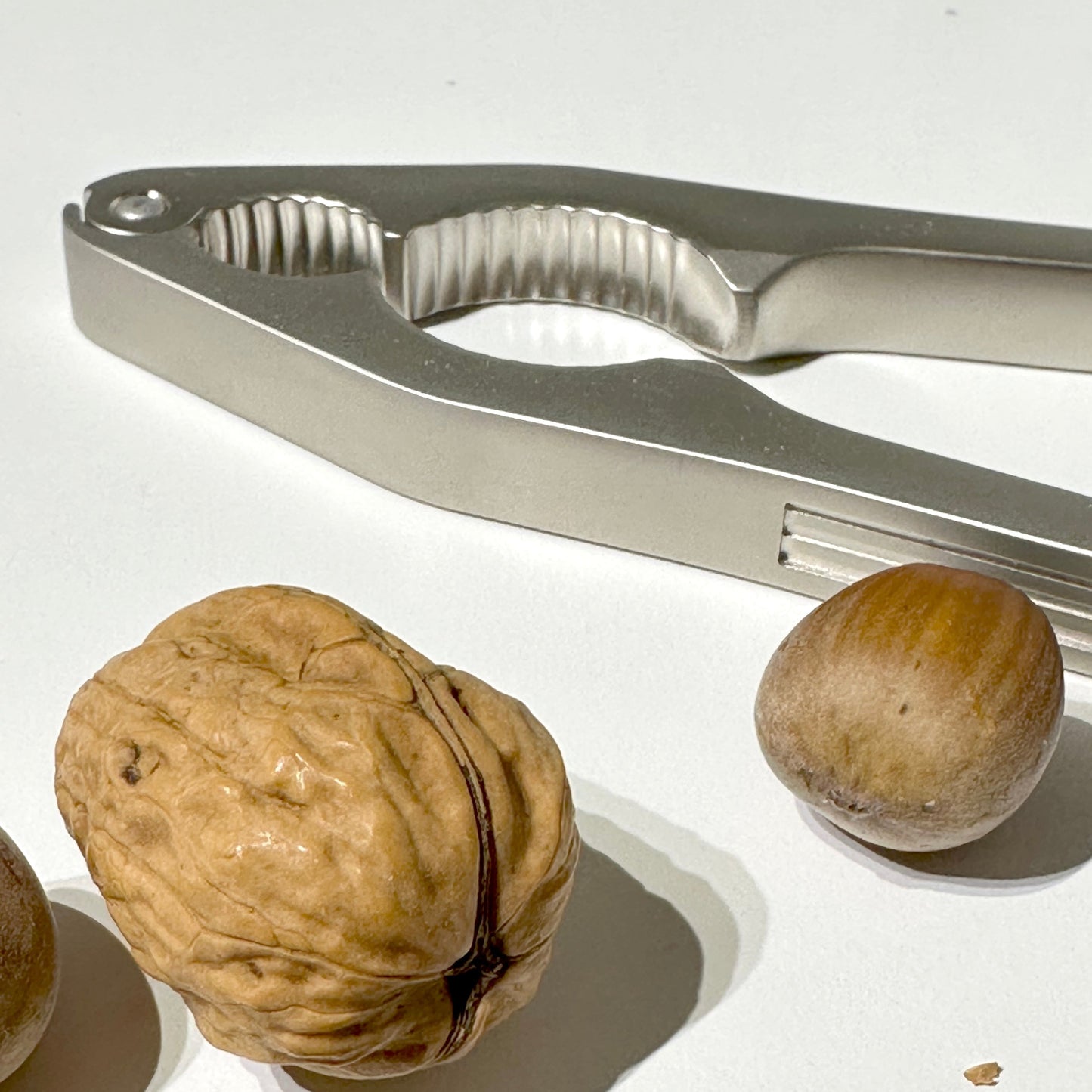 Metallic nutcracker and walnuts on a white surface