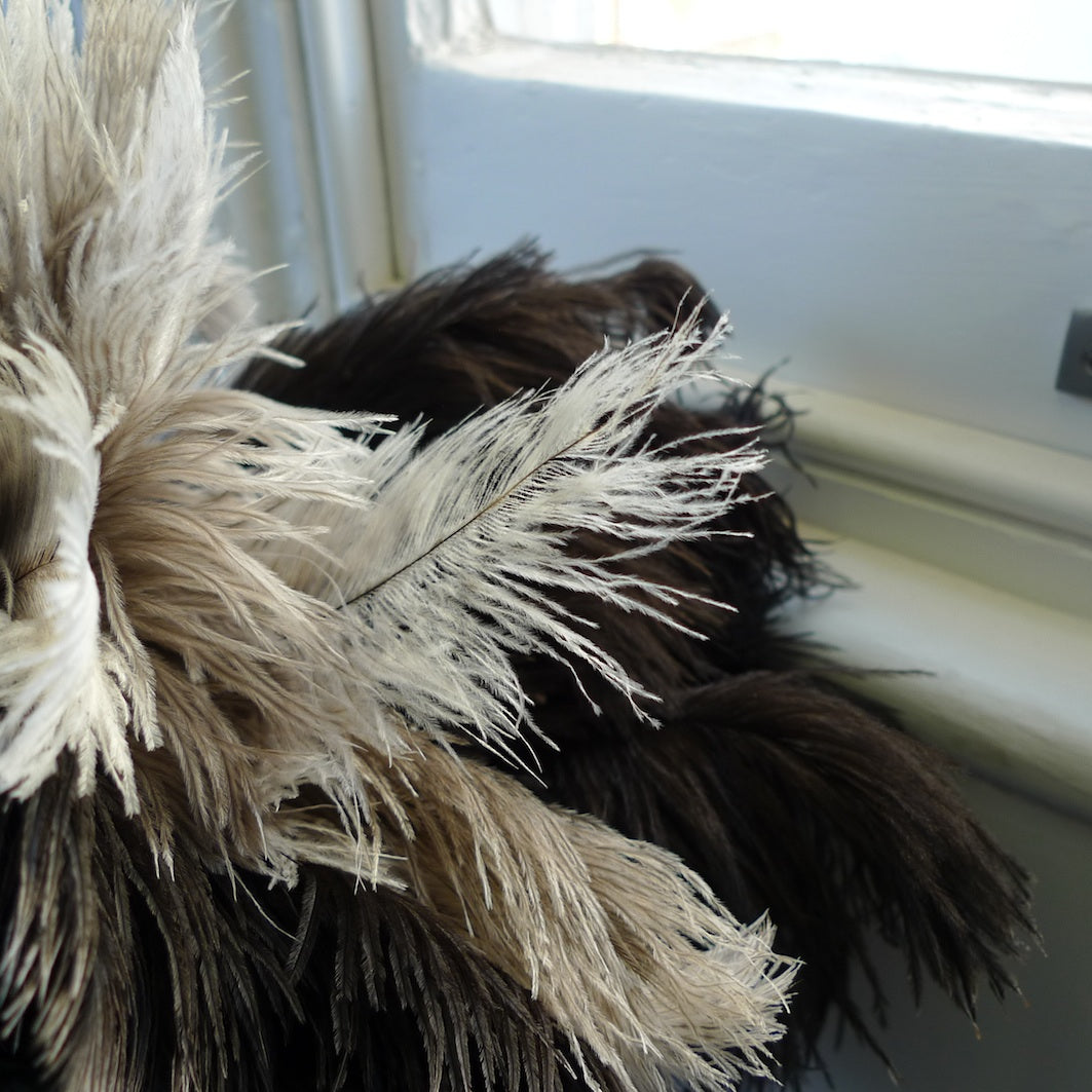 Feather duster – long