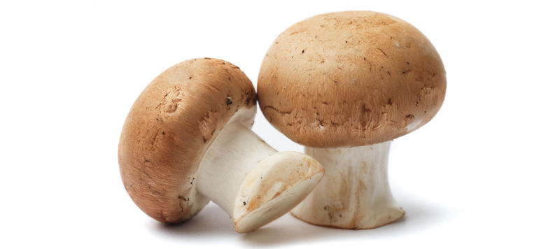 Mushrooms