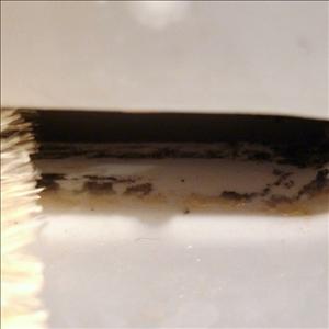 Sink brushes