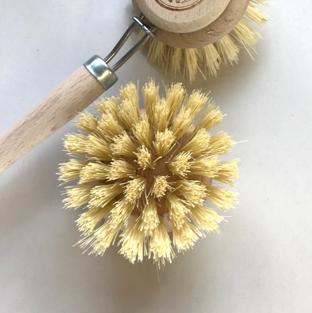 Dish brush replacement head