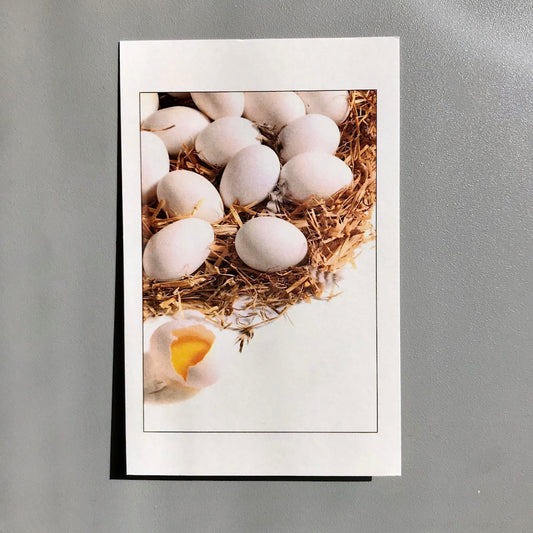 Eggs