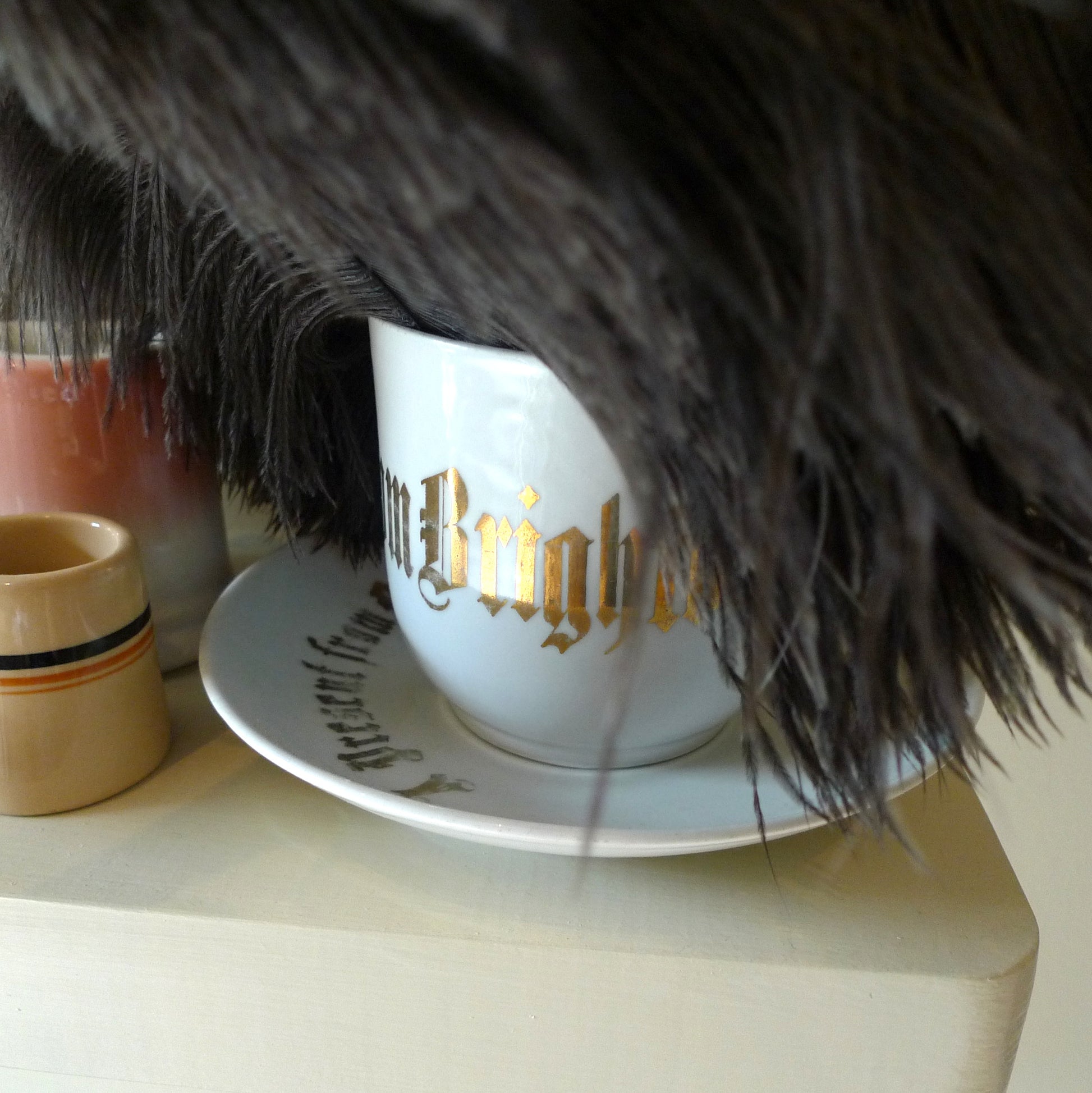 Feather duster – short