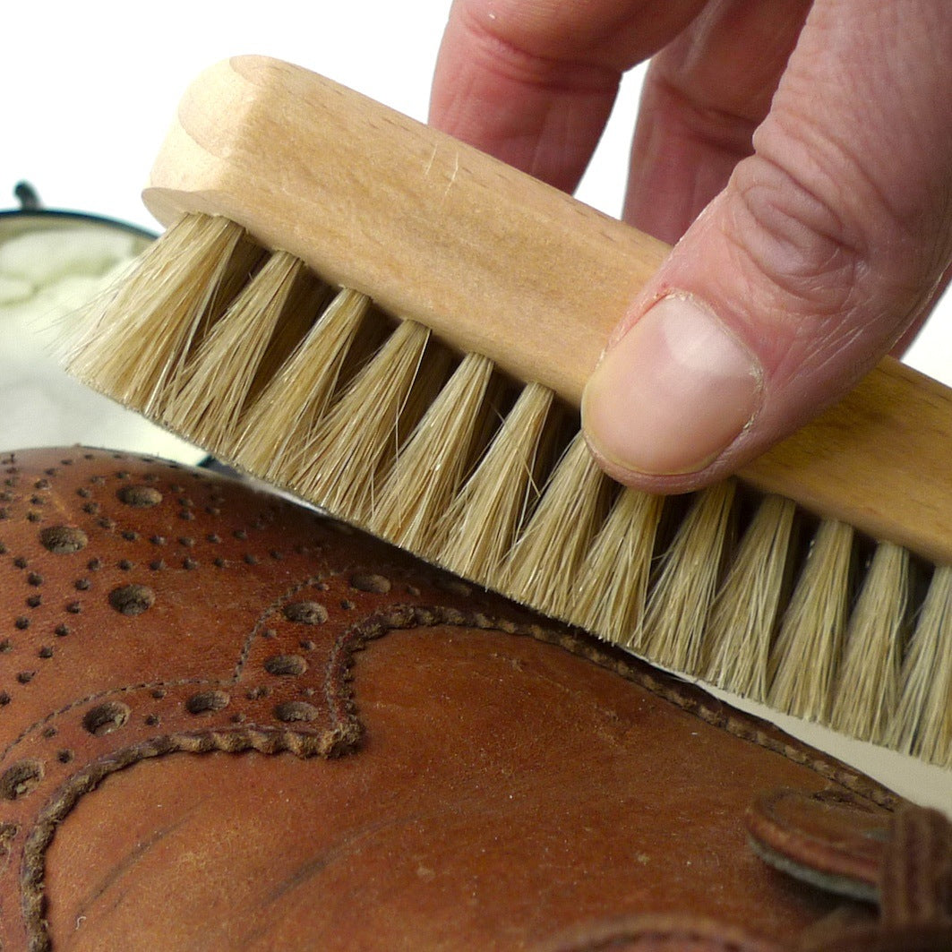 Shoe brush