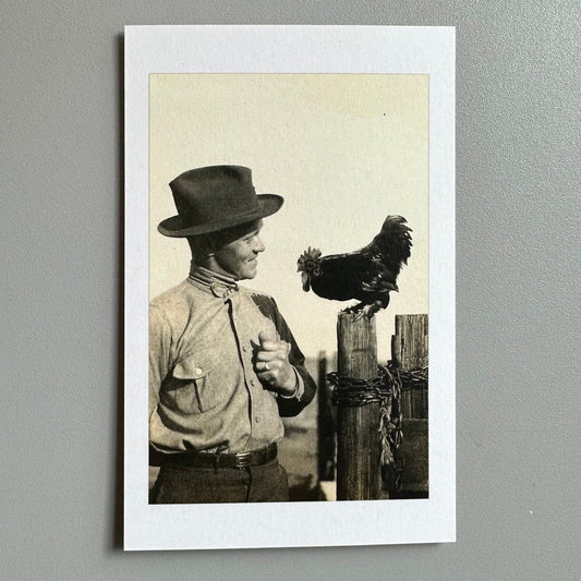 A Fine Rooster