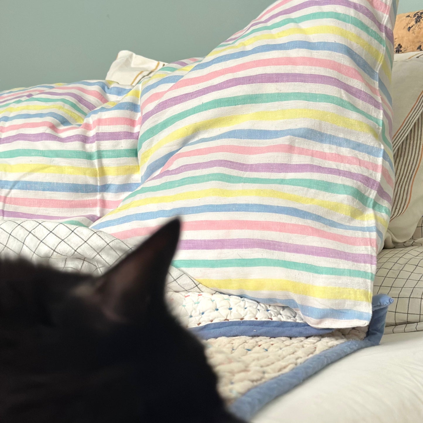 Cotton Pillowcases