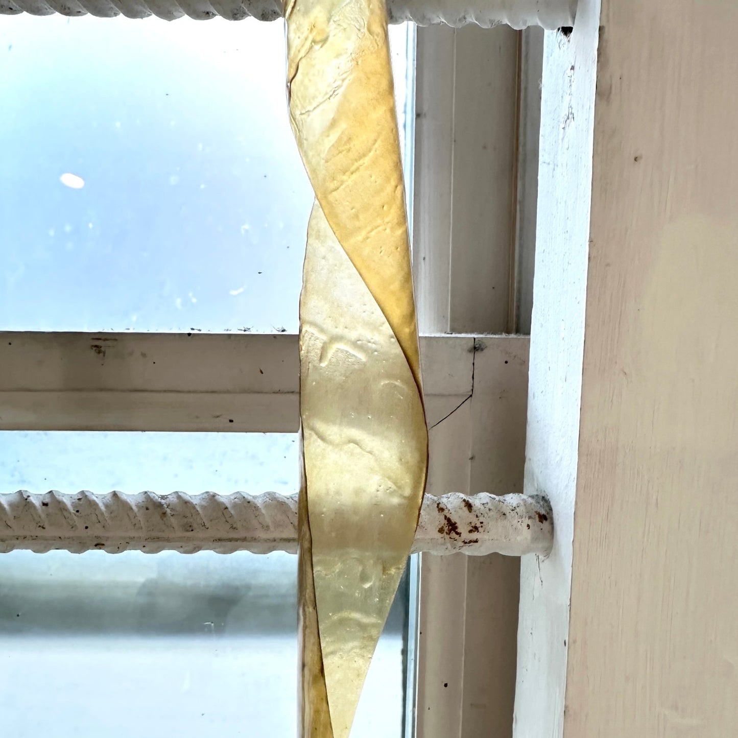 Fly paper hanging in window