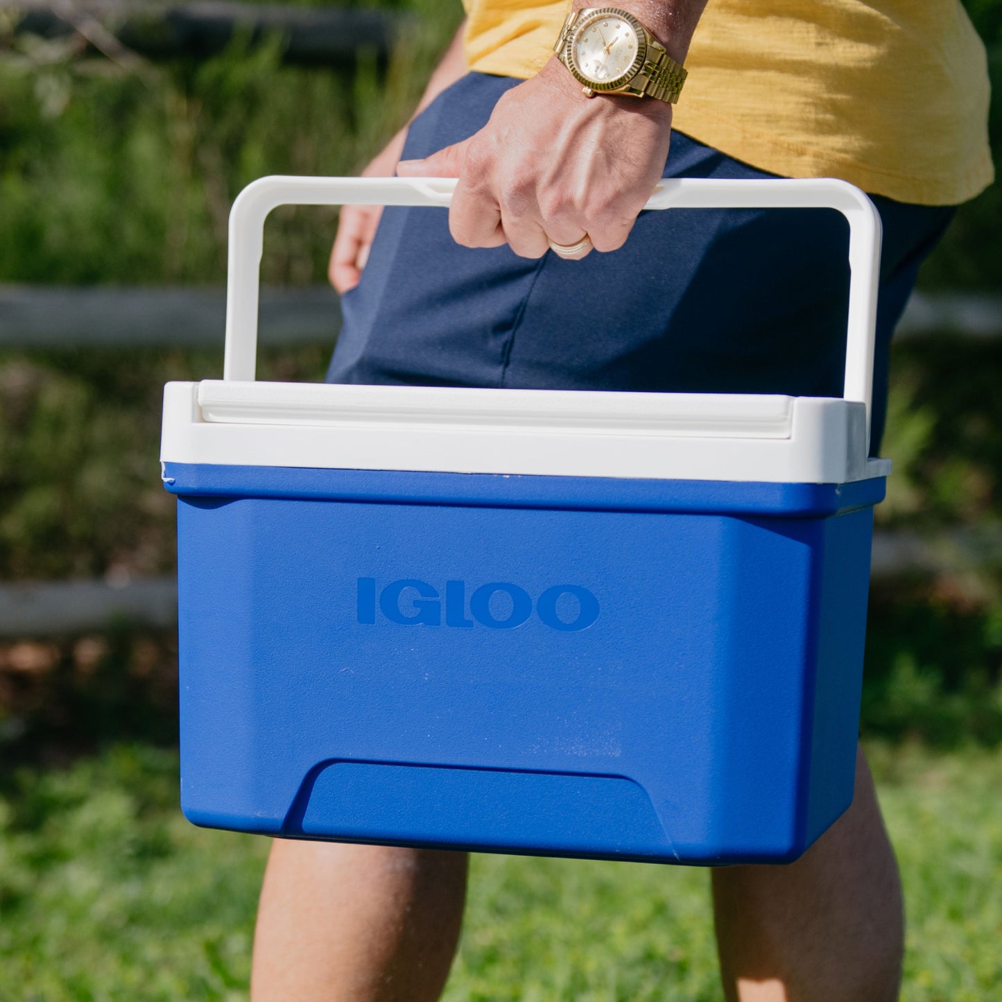 Igloo cooler Laguna 9qt blue with hand carrying