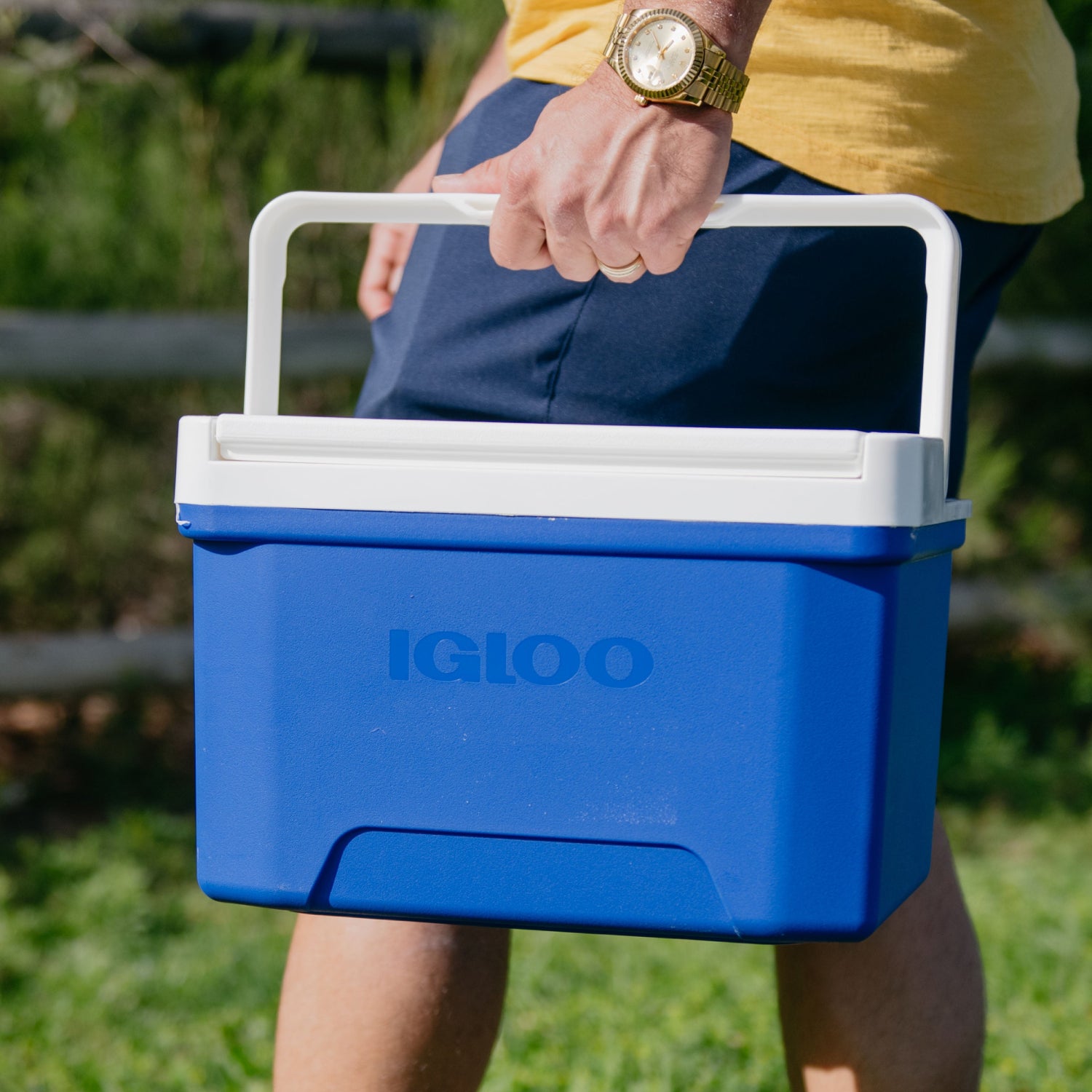 Igloo cooler Laguna 9qt blue with hand carrying