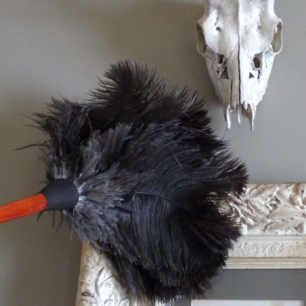 Ostrich Feather Duster — Sunday Shop