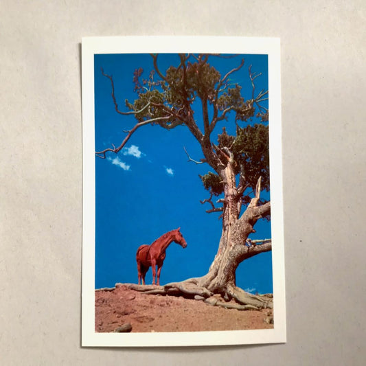 Postcard horse and tree